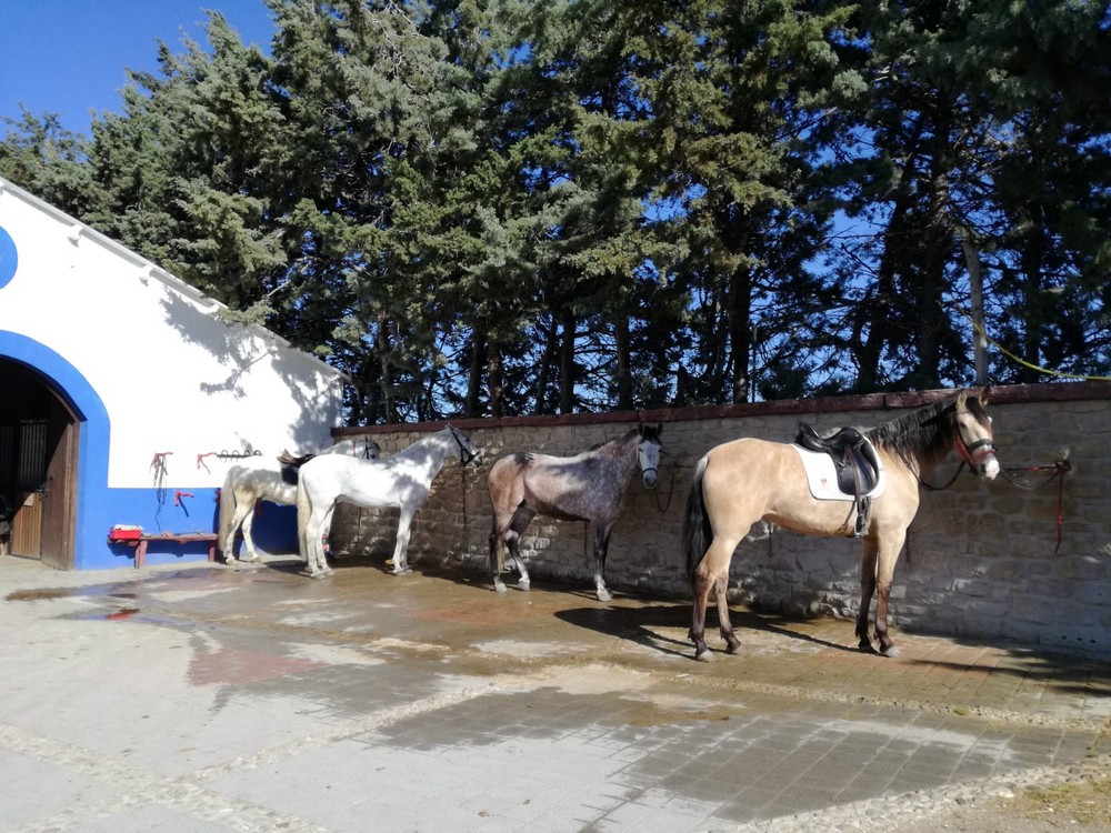 #yoentrenoencasa con Cristina Ullate